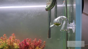 DROP CHECKER CO2 LEVEL INDICATOR(ดรอป เช็คเกอร์ ชุดน้ำยาทดสอบระดับ CO2 ในน้ำ ใช้งานง่าย สำหรับวัดปริมาณ CO2 ในตู้ไม้น้ำ)