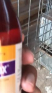 KUTUTOX S Larutan Pembasmi Kutu Untuk Ayam Burung Lovebird Murai Kacer Kenari Pleci Anjing Kucing