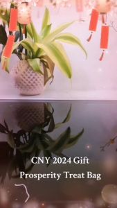 CNY Hamper New Arrival Prosperity Chinese New Year Hamper Gift Pack [ 新年送礼年礼盒 礼品 ]