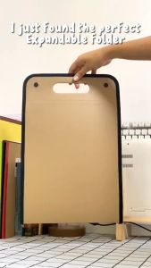 Portable Clear File Organizer: A Comprehensive Guide