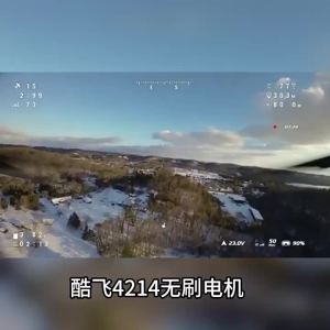 Aerial Photography 6S FPV Racer Drone Brushless Motor 13inch