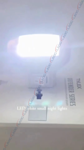 Mini Led manual on/off Switch Plug-in Night Light Bright White Indoor Light