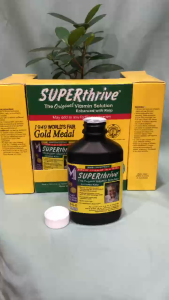 Super Thrive 120ml hooc môn tăng trưởng cho cây) -Mai Huy Since 2008