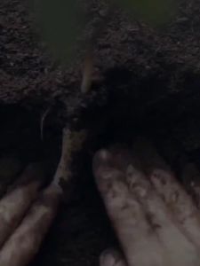 350ml SKT Ginseng Body Wash Long-Lasting Fragrance Anti-Acne-Mite Treatment Moisturizing Whitening Smoothing Skin Sabun Mandi