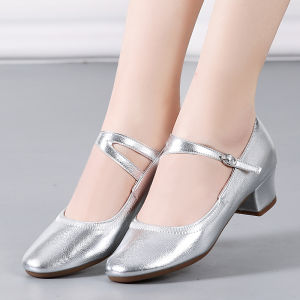Professional Low Heel Dance Shoes Soft Surface Comfortable All Season Silver Grey Square Dancing Shoes New 2024 Model for Women