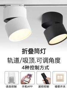 Built-In LED Downlight Adjustable Angle Rabbit Opening Home Living Room Commercial Ceiling Light Track Mounted Lamp