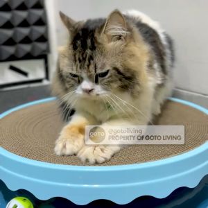 Goto Claws Papan Garukan Kucing Scratch Board Cakaran Hewan Peliharaan