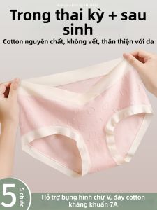 YUNASHA | Quần Lót Không Seam Hỗ Trợ Bụng Thấp Dành Cho Phụ Nữ Mang Thai 100% Cotton Chống Khuẩn