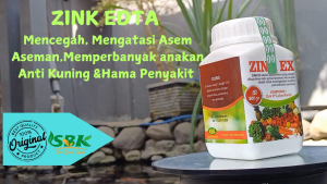 Memperbaiki tanaman upnormal Tanah asem-aseman tanaman menguning / merah ZinkEx EDTA 500 gr
