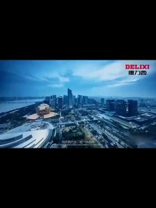 DELIXI Electric | Pressure Sprayer for Watering Plants Car Washing and Cleaning