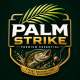 palm strike