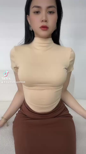 VITRAN BOUTIQUE Áo Cổ 3 PHÂN CỔ LỌ Ôm Dáng Nữ Thun Borip Co Giãn Freesize Thời Trang Tinh Tế Mix & Match Đa Dạng (A14)