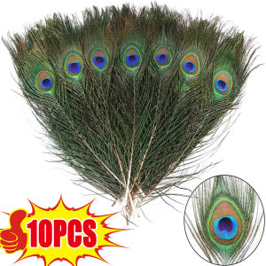 Dizoey 10PCS Real Peacock Feather 25-30cm for DIY Craft Jewelry Vase Table Decor Plume Stage Perform Wedding Clothing Dress Accessories