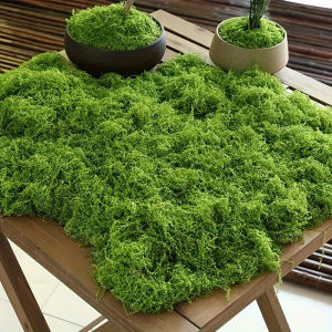 30/50/100g Green Artificial Moss Plant Fake Moss DIY Crafts Grass for Home Room Decor Garden Wedding Decoration Outdoor Ornament