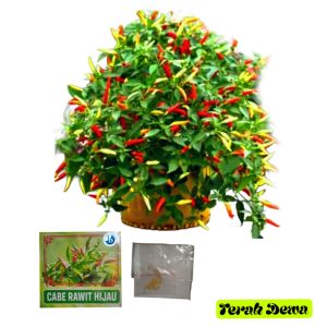 Bibit Cabai Rawit Hijau Super Unggul Terah dewa Original Premium (15 butir) Jaminan Mutu