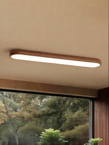 FANCY LAMP CLUB | Corridor Ceiling Light Full Spectrum Eye-friendly