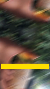 Terra Diverde  Hair food Seven Serum 100ml |serum rambut | hair mist | serum spray| serum rambut