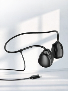 LIWEILANG | Type-C Compatible Over-ear Wired Earphones