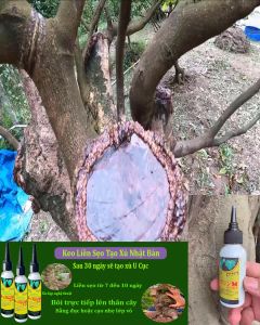Giá sốc. Keo Liền Da Cây - Liền Sẹo Cho Cây Bonsai - Thế Hệ Mới Từ Nhật - Tạo Xù U nghệ Thuật (80gr)