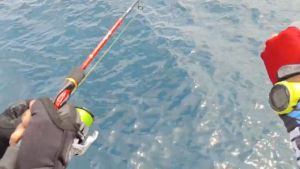 TERLARIS PENGIRIMAN CEPAT COD TaffSPORT Spartacus 130 Joran Pancing Spinning Carbon 2 Segments 1.3 M/JORAN pancing cabon kuat tegek full fuji 1 set siap pakai lentur dan kuat carbon solid laut multifungsi/tongkat pancing super kuat mini carbon bagus murah