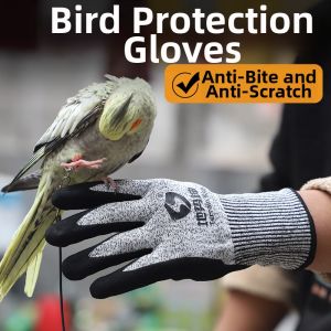 Terrain Kun | Parrot Bite-Resistant Training Gloves