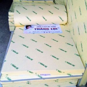Nệm cao su non Thắng Lợi 1m6*2m*10cm ( Chính Hãng BH 15 năm)