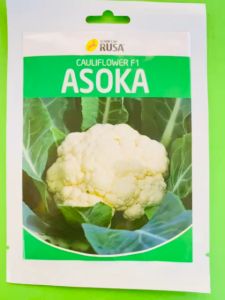 Benih Bunga Kol ASOKA isi 10gr dr Cap Rusa terbaikk!!!