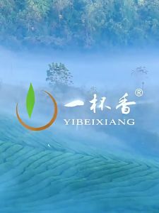 YIBEIXIANG | Fragrant Golden Junmei Black Tea 50g