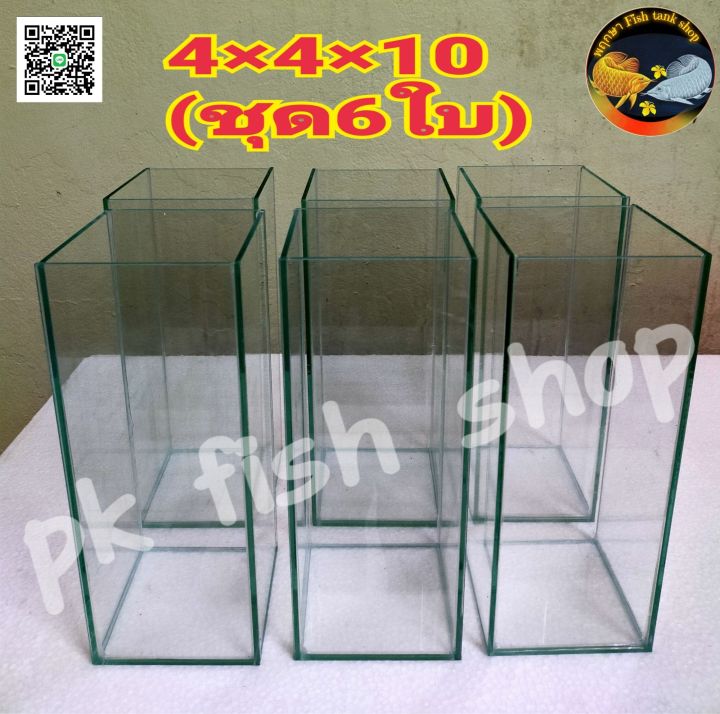 โหลปลากัด 4×4×10(ชุด6ใบ) | Lazada.co.th