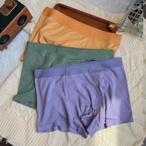 Nâng Cấp Quần Lót Modal Cao Cấp 60S Cho Nam Thoải Mái Công Sở Kháng Khuẩn Giữa Eo Quần Lót Boxer