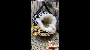 Sleeping Pouch Tempat Tidur Sugar Glider Bentuk Telur