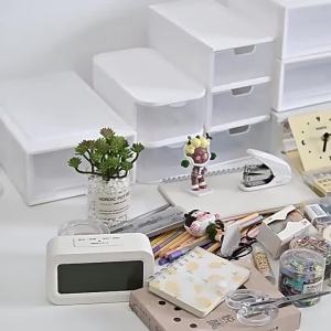Multipurpose Desktop Organizer