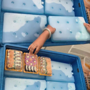 BEIANLANG | Cooling Reusable Ice Gel Refrigeration Bag