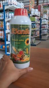 ซีวิดกรีน (ขนาด 1 ลิตร) ช่วยเพิ่มการเจิญเติบโต ช่วยให้ใบสีเขียวเข้ม เพิ่มการแตกดอก เปิดตาดอกเพิ่มจำนวนดอก