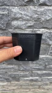 Combo 10c Chậu Nhựa Bát Giác Mini MHK - Chậu Ươm Cây Khoét Lỗ Khử Thấm Chống Thấm Nước Phù Hợp Khoảng Trời