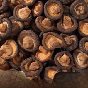 Dehydrated Mushroom Snacks for Children And Pregnant Women Black Truffle Mushroom Crisps Healthy Dried Vegetables And Fruits