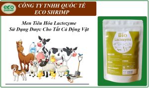 1 Gói Lactozyme Giàu Lactobacillus Hỗ Trợ Tiêu Hóa Vật Nuôi
