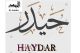 Haidar2