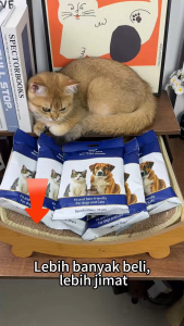 Pet Cleaning Wipe Gloves 10pcs | Convenient Disposable Grooming for Cats & Dogs | COD Available PH