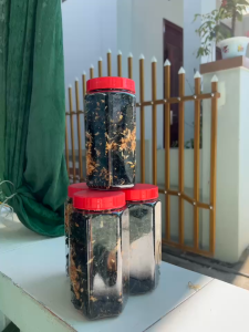 RONG BIỂN CHÁY TỎI 200G LOẠI NGON RONG BIỂN LÝ SƠN (RONG MỨT )