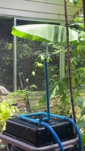 ชุดสปริงเกอร์ รดน้ำต้นไม้ ลดความร้อน - ประหยัดน้ำ ใช้งานง่าย ไม่ต้องทากาว!