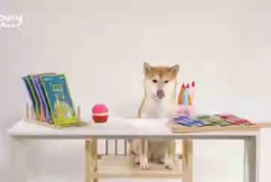 Lovey ขนมไม่ใส่เกลือ ยกโหล 12 แพ็ค ไม่เติมน้ำตาล