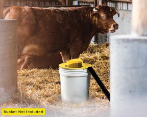 5 Gallon Bucket Flip Lid Mouse Trap Humane Rat Mice Control Indoor Outdoor Patio Chicken Coop Automatic Reset After Catching