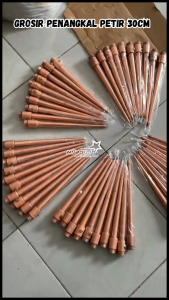 GROSIR Tiang Penangkal Anti Petir 30cm Alat Penangkal Petir untuk Rumah WiFi Listrik Gedung Bangunan