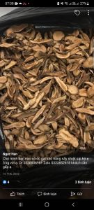 củ gai khô giúp an thai dưỡng thai