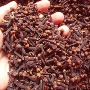 CENGKEH REMPAH LOKAL BERAT 100 GRAM
