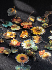 Bản Đồ Hoa Lớn Bằng PET Dán Trang Trí Nghệ Thuật Album Thủ Công Dán Ghép Cảnh Cơ Bản Chụp Ảnh