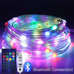 WS2812B Bluetooth LED String Fairy Lights Dreamcolor RGBIC DIY Party Festival Tree Lights Wedding Decoration Garland USB Lamp