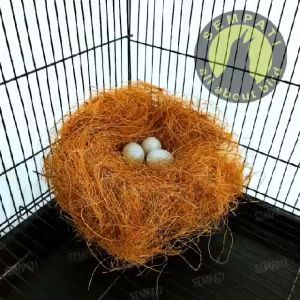 SEMPATI Serat Kelapa Sarang Burung Lovebird Murai Kenari Sabut Kelapa UKM Serabut Susuh Tempat Bertelur Burung Breeding Lovebird Cocofiber Alas Glodok Sabut Serabut Media Tanam Anggrek