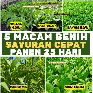 Paket 5 Macam Benih Sayuran Daun Panen Cepat Hidroponik (Bayam Selada Caisim Pakcoy Kangkung)